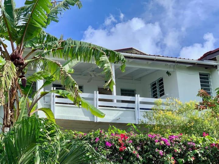 Halcyon Heights Condominium Dickenson Bay エクステリア 写真