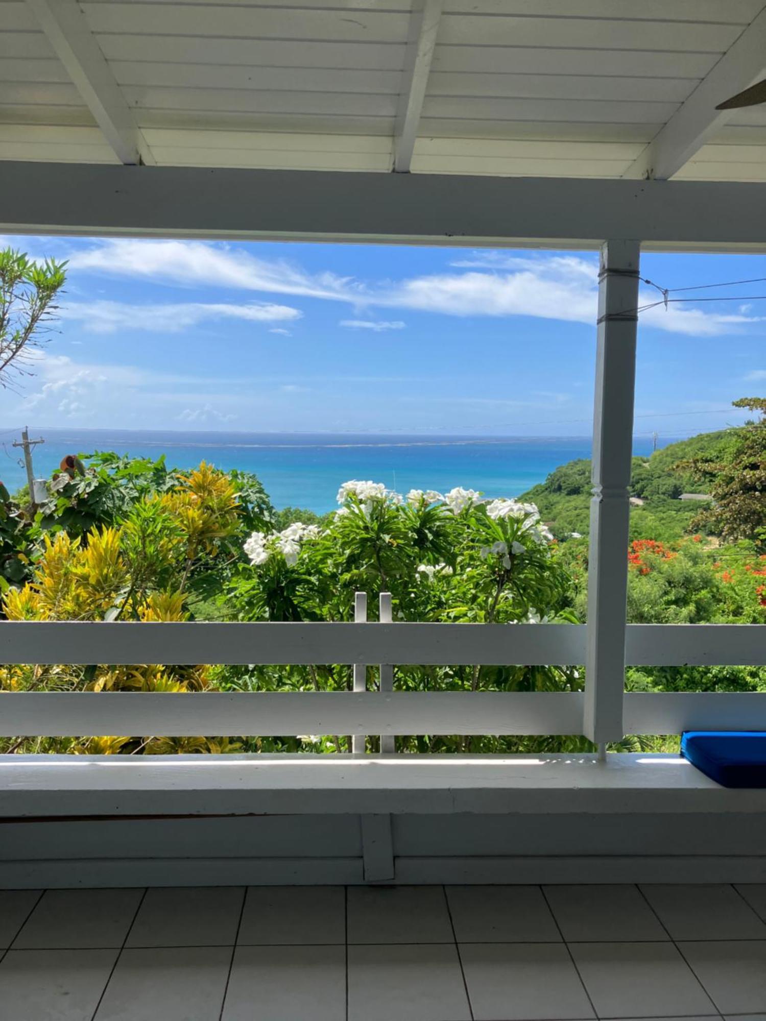 Halcyon Heights Condominium Dickenson Bay エクステリア 写真